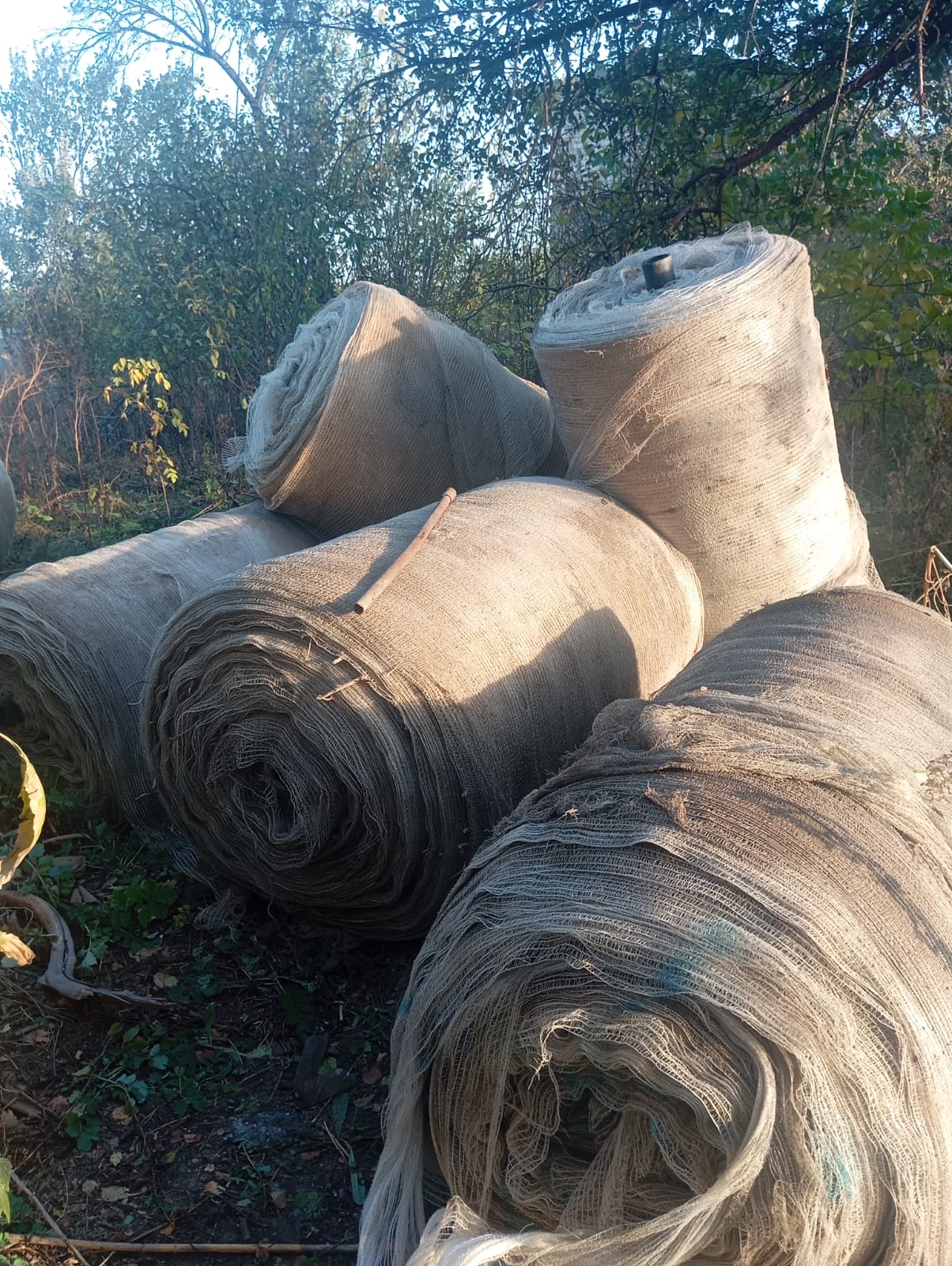 Мініатюра 19